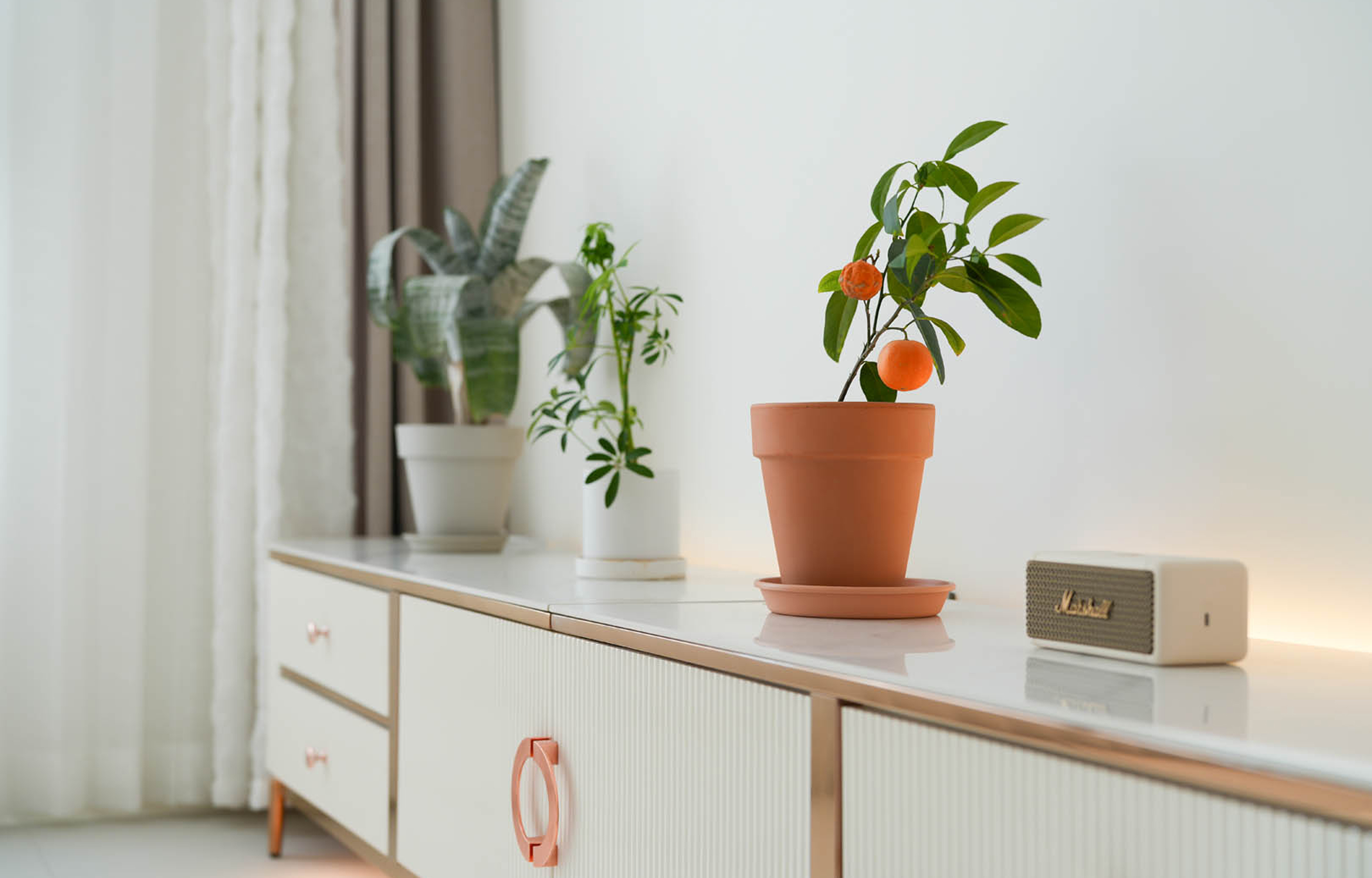 Type B 포인트컷 03